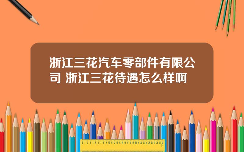 浙江三花汽车零部件有限公司 浙江三花待遇怎么样啊